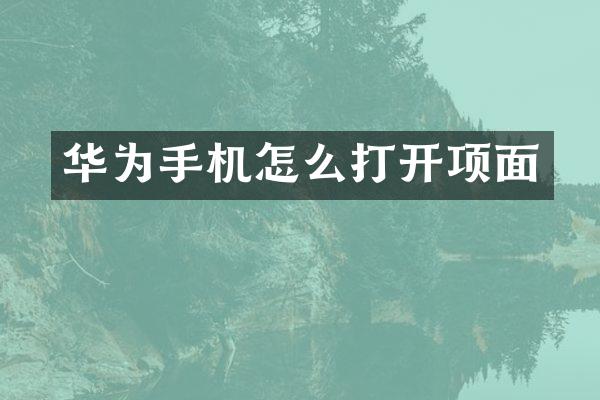 华为手机怎么打开项面