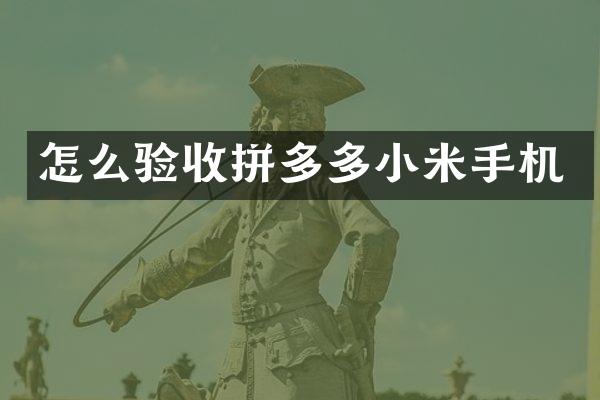 怎么验收拼多多小米手机