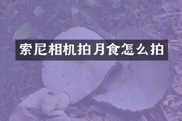 相机拍月食怎么拍