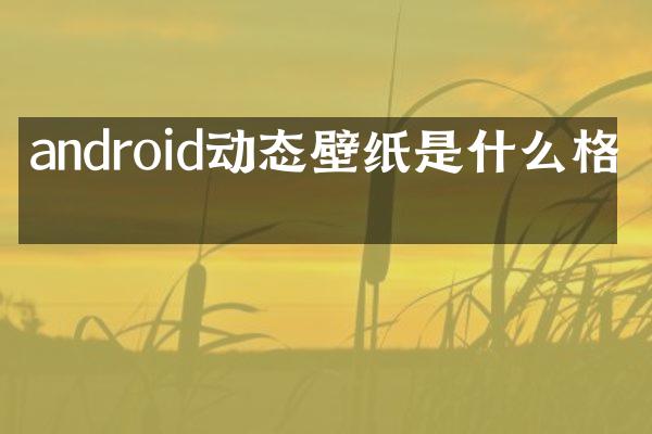 android动态壁纸是什么格式