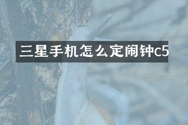 三星手机怎么定闹钟c5