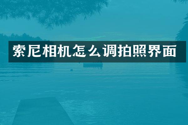 相机怎么调拍照界面