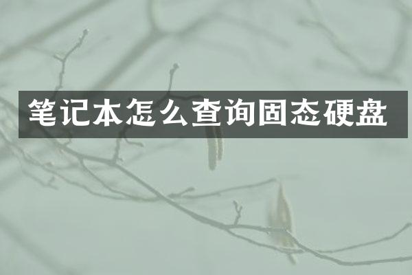 笔记本怎么查询固态硬盘