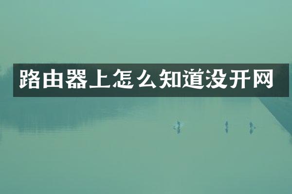 路由器上怎么知道没开网