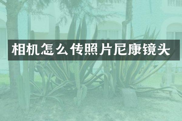 相机怎么传照片尼康镜头