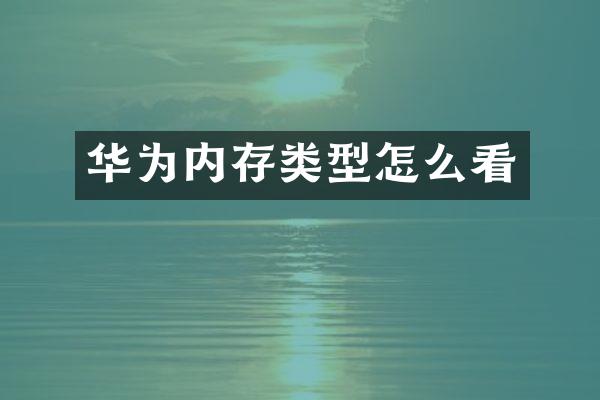 华为内存类型怎么看