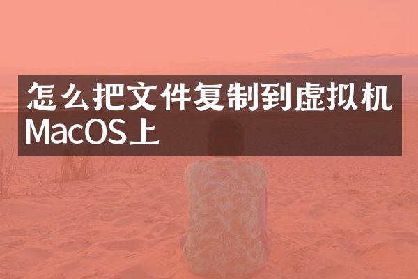 怎么把文件复制到虚拟机MacOS上