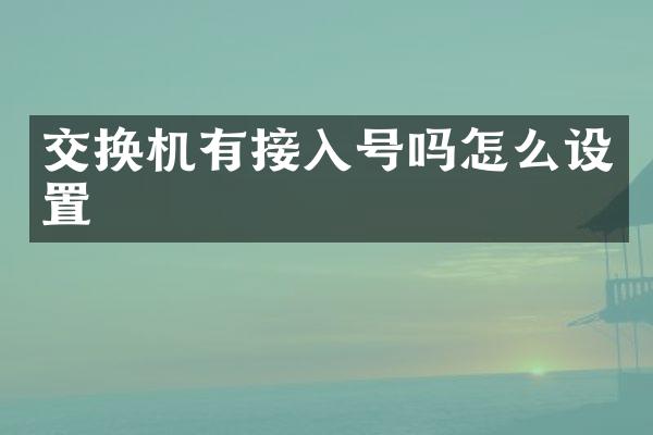 交换机有接入号吗怎么设置