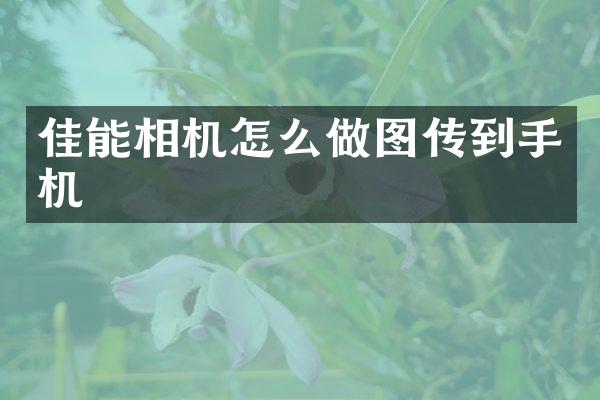 佳能相机怎么做图传到手机