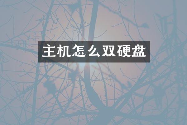主机怎么双硬盘