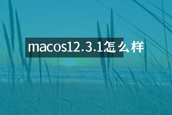 macos12.3.1怎么样