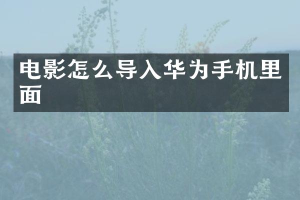 电影怎么导入华为手机里面