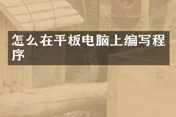 怎么在平板电脑上编写程序