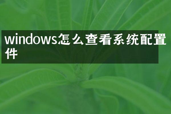 windows怎么查看系统配置文件