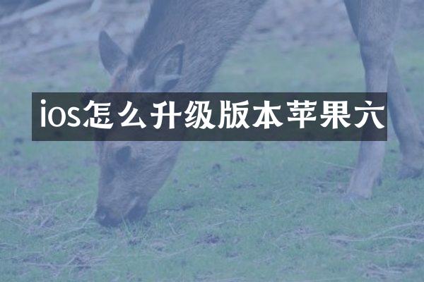 ios怎么升级版本苹果六
