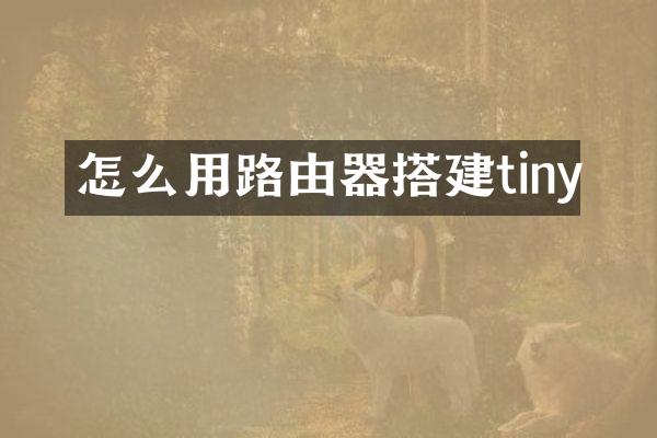 怎么用路由器搭建tiny