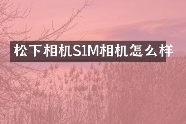 相机S1M相机怎么样