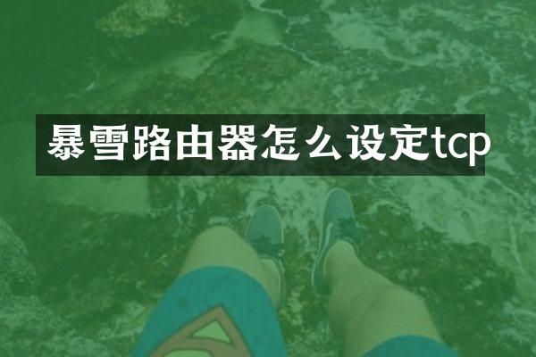 暴雪路由器怎么设定tcp