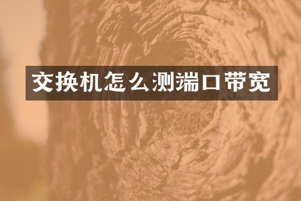 交换机怎么测端口带宽