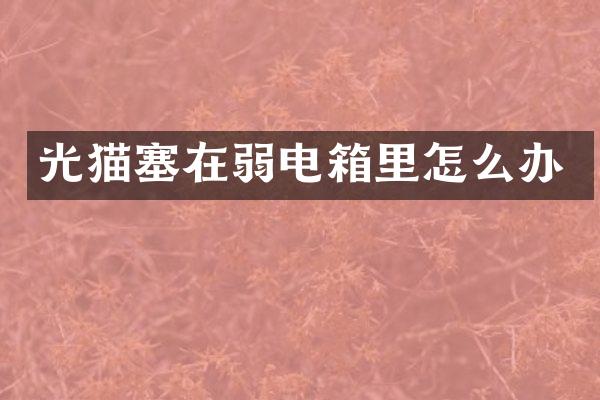 光猫塞在弱电箱里怎么办