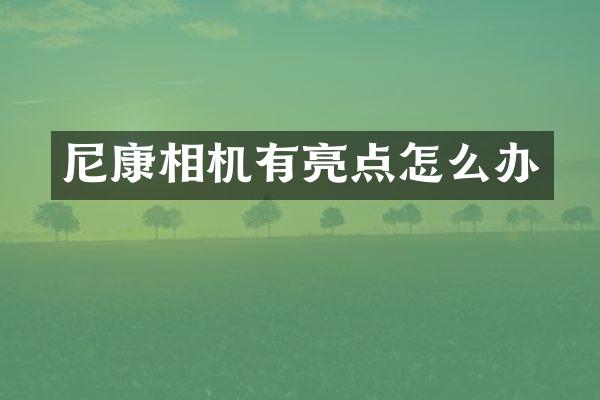 尼康相机有亮点怎么办