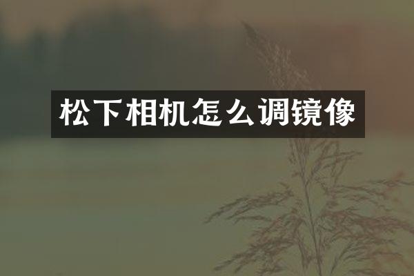 相机怎么调镜像