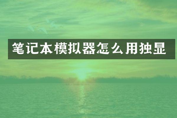笔记本模拟器怎么用独显