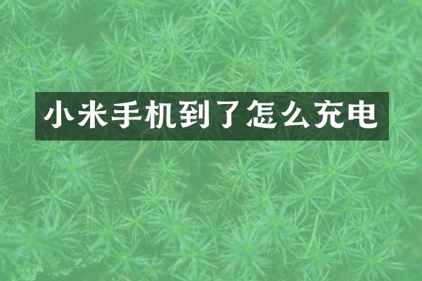 小米手机到了怎么充电