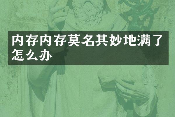 内存内存莫名其妙地满了怎么办