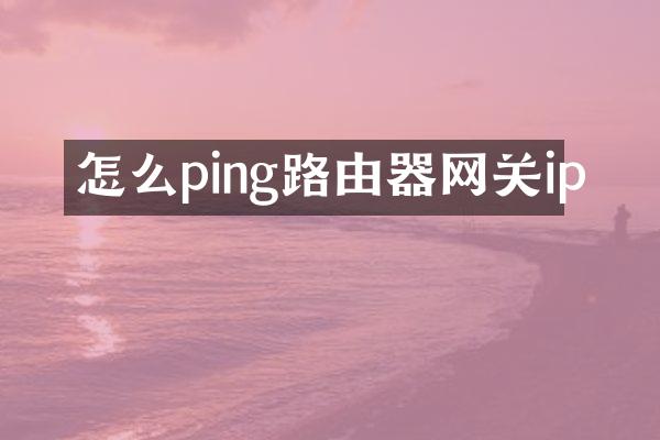 怎么ping路由器网关ip