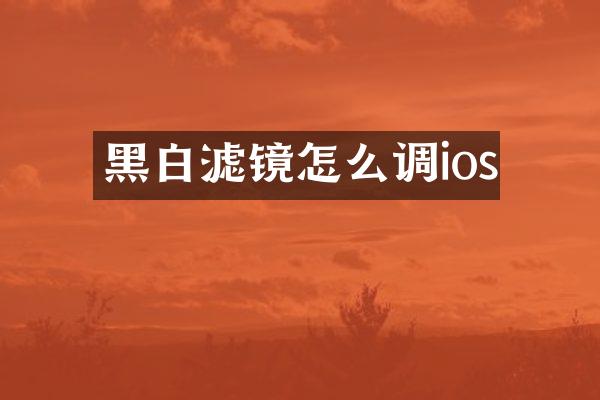 黑白滤镜怎么调ios