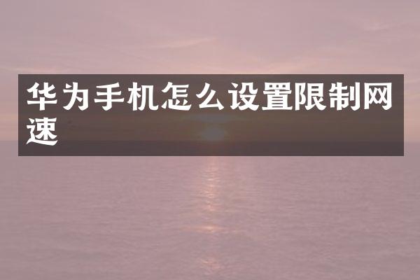 华为手机怎么设置限制网速