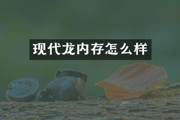 现代龙内存怎么样