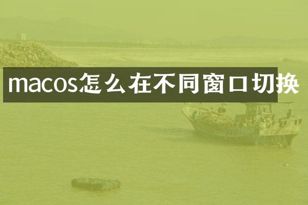 macos怎么在不同窗口切换