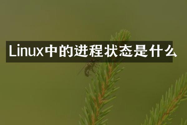 Linux中的进程状态是什么