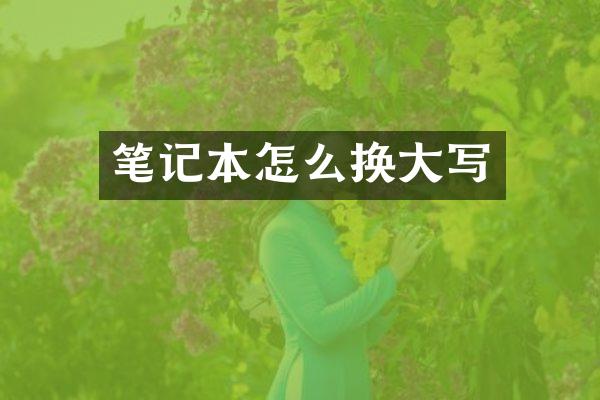 笔记本怎么换大写