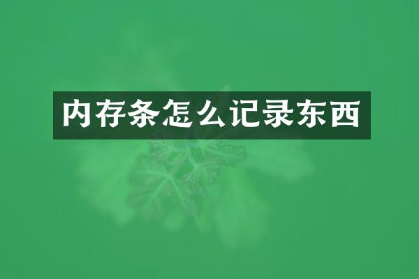 内存条怎么记录东西