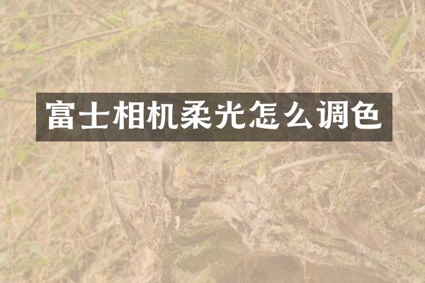 富士相机柔光怎么调色