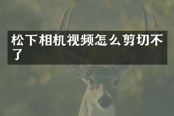相机视频怎么剪切不了