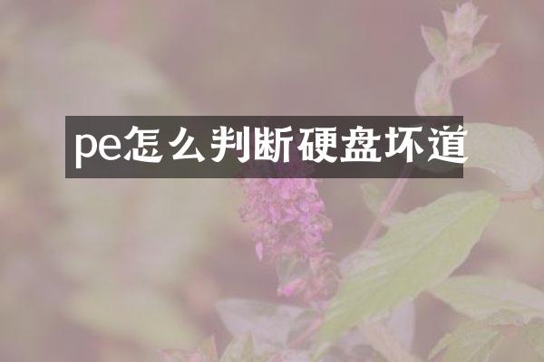 pe怎么判断硬盘坏道
