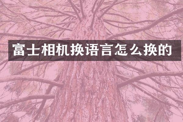 富士相机换语言怎么换的