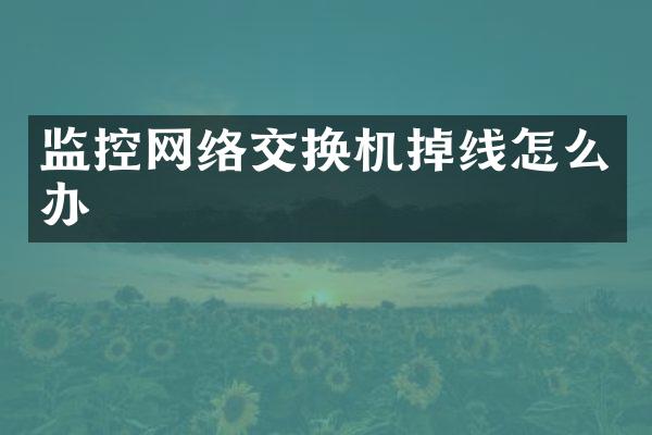 监控网络交换机掉线怎么办