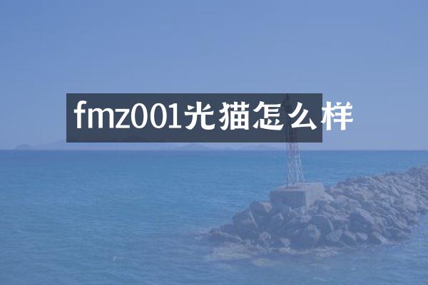 fmz001光猫怎么样
