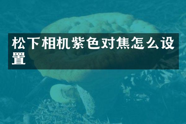 相机紫色对焦怎么设置