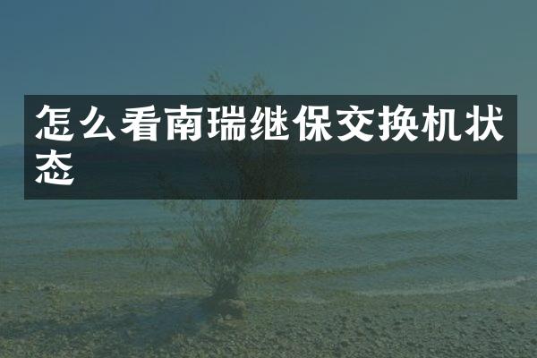 怎么看南瑞继保交换机状态