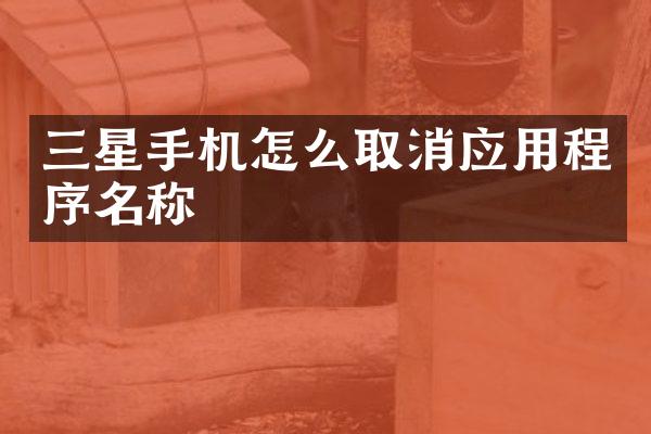 三星手机怎么取消应用程序名称