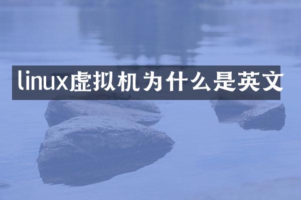 linux虚拟机为什么是英文