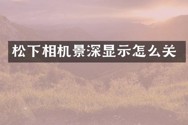 相机景深显示怎么关