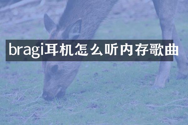 bragi耳机怎么听内存歌曲