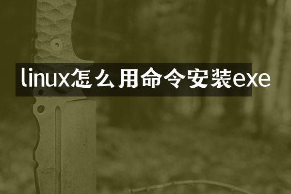linux怎么用命令安装exe